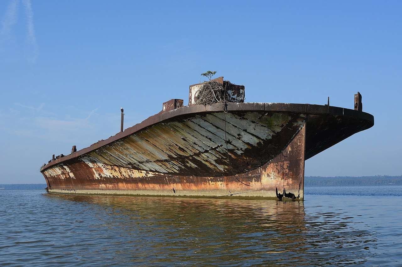 Ship wreck at Mallows Bay.