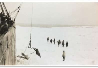 Crew removing supplies and cargo.
