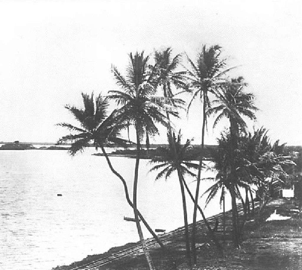 An image taken of Pearl Harbor in the 1880s.