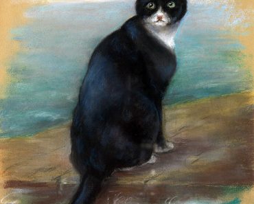 A portrait of Unsinkable Sam by Georgina Shaw-Baker.